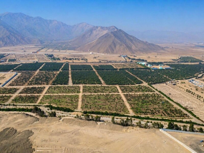 TERRENO INDUSTRIAL EN CHILCA!